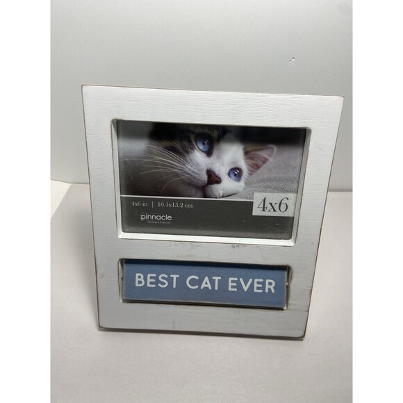 Pinnacle Holds 4 X 6 Cat Photo Frame Wooden with Turning Sign Bad to the Bone - Picture 3 of 5